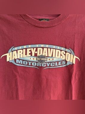 🍒💣 Harley Davidson Connecticut t-shirt